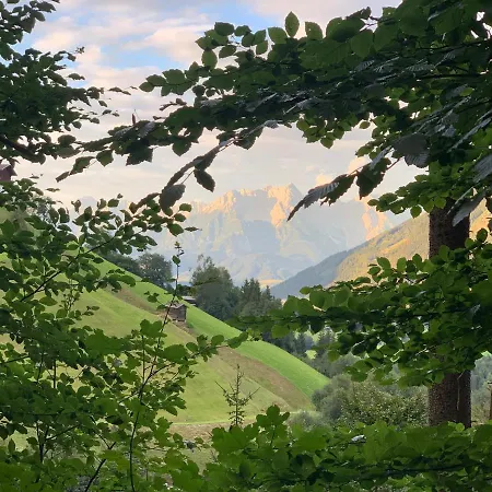 Bergtraeume Mit Seeblick Lejlighed *